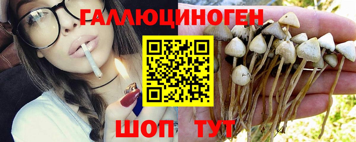 Псилоцибиновые грибы Magic Shrooms Рузаевка
