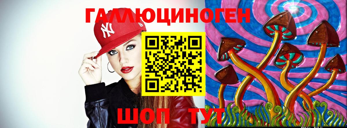 Рузаевка  Галлюциногенные грибы Psilocybe  Вход с VPN 